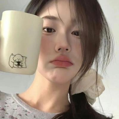 冰球小王子